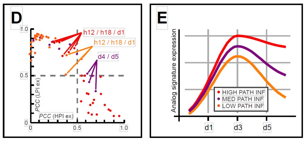 Gene-expression signature heatmap for respiratory pathogen pathogenicity analysis